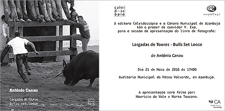 Monumento do escultor João Duarte ao Poeta Cesário Verde no Parque dos Poetas em Oeiras